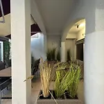 Ylona Apartment